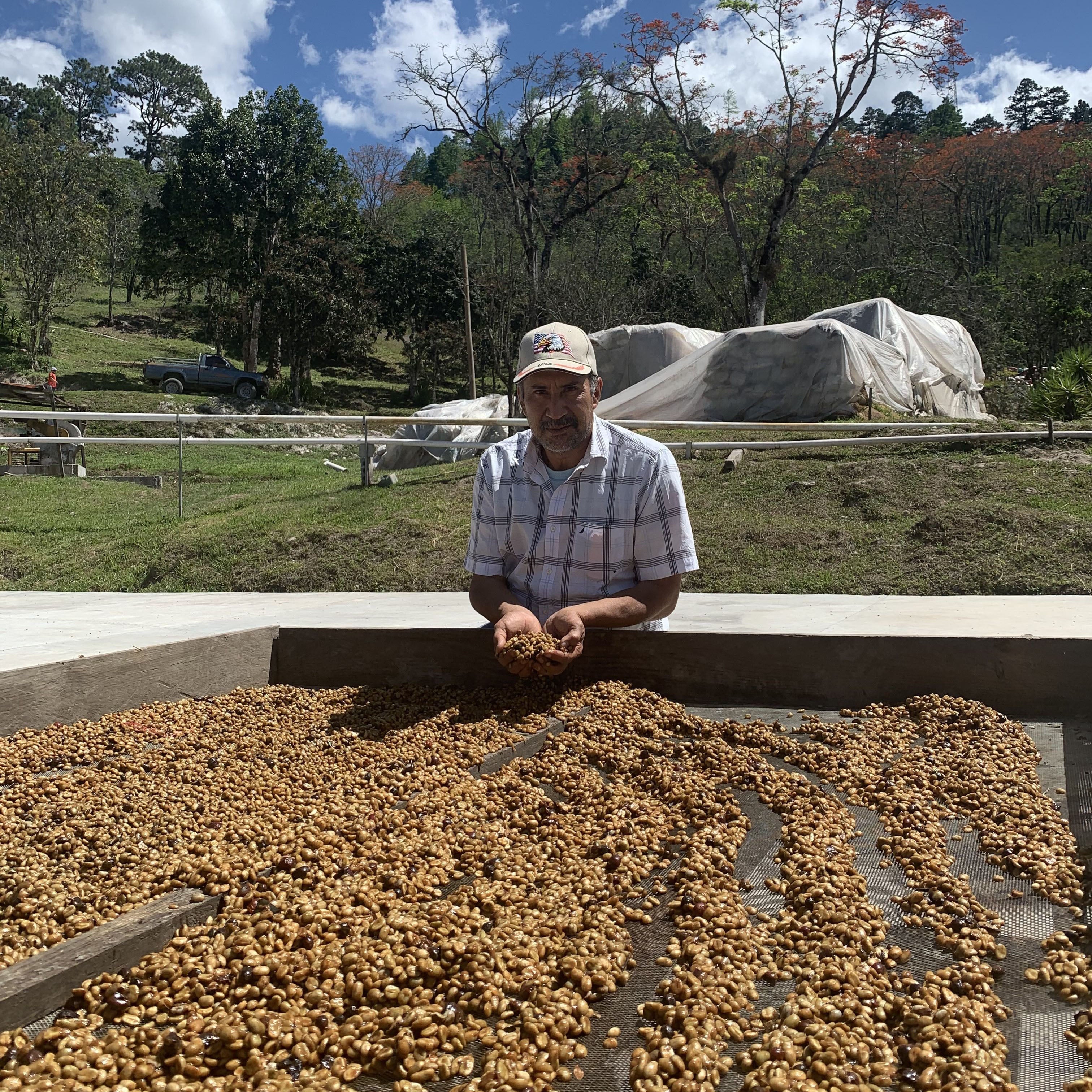 Pacayal Honey - Limited Release